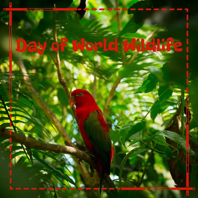 Day of World Wildlife - Exotic Nature Kingdom