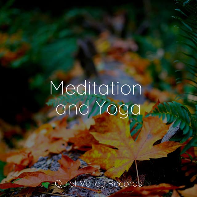 Meditation and Yoga - Binaural Beats Brainwave Entrainment