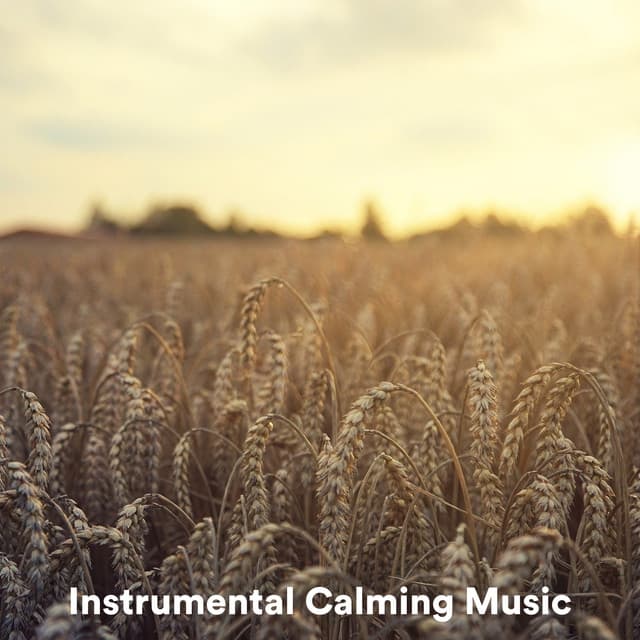 Instrumental Calming Music - The Instrumental Orchestra