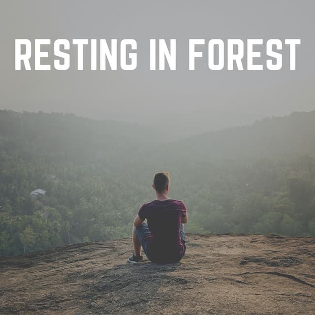 Resting in Forest - Zen Garden Secrets