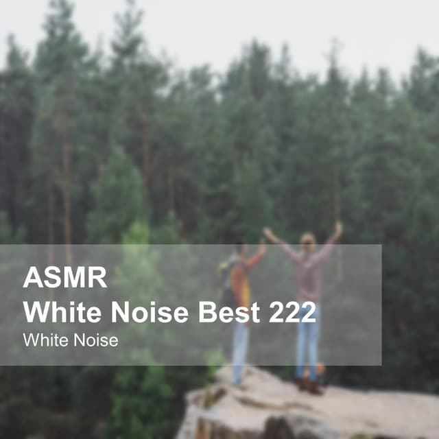 White Noise ASMR Best 222 - White Noise