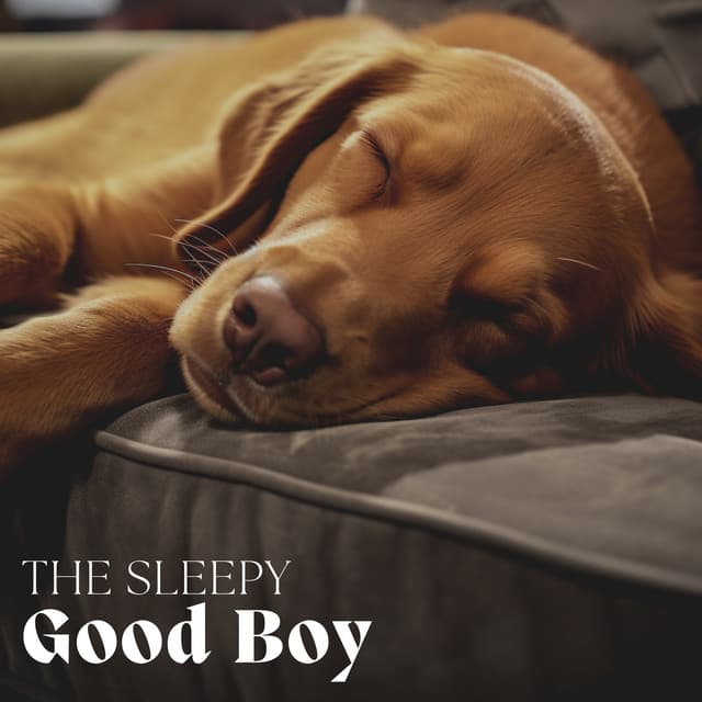 The Sleepy Good Boy - Music For Dogs With Anxiety