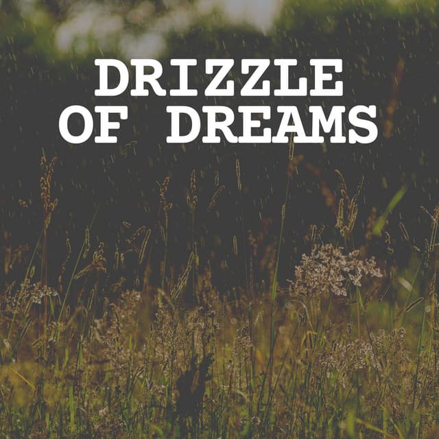 Drizzle of Dreams - Rainfall Place