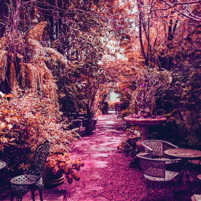 Piano Jazz Duo - Background for Tonight Chilling - Happy Sunday Morning Music