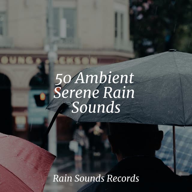 50 Ambient Serene Rain Sounds - Yoga