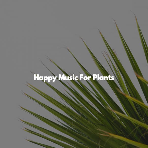 Jazz Rilassante Playlist