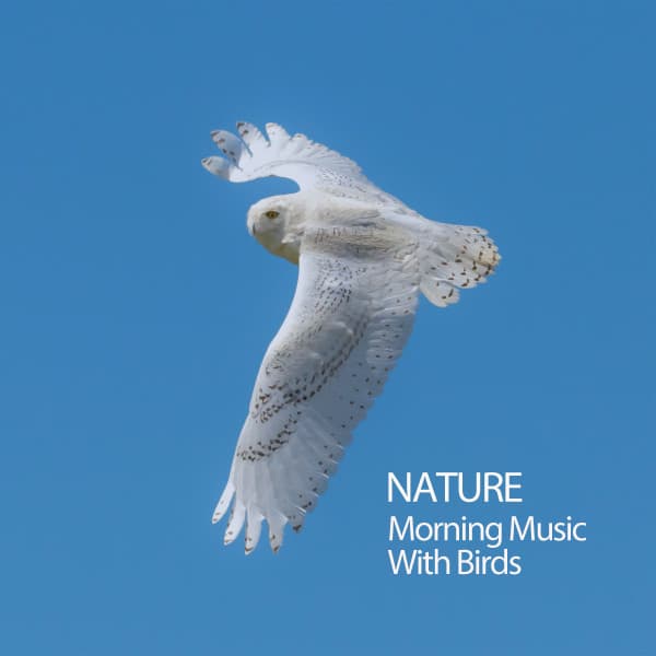 Nature Sounds With Music