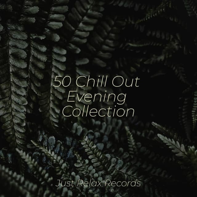 50 Chill Out Evening Collection - Mantra para Meditar