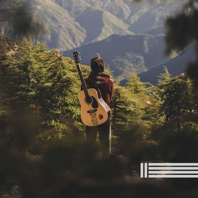 Relaxing Guitar & Forest Sounds - Peaceful Guitar