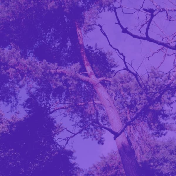 Music for Binaural Sleep - Relaxing Sleep Music