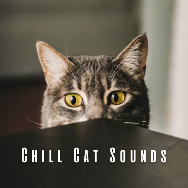 Chill Cat Sounds: Lofi Paws and Melodies - Lofi Sad