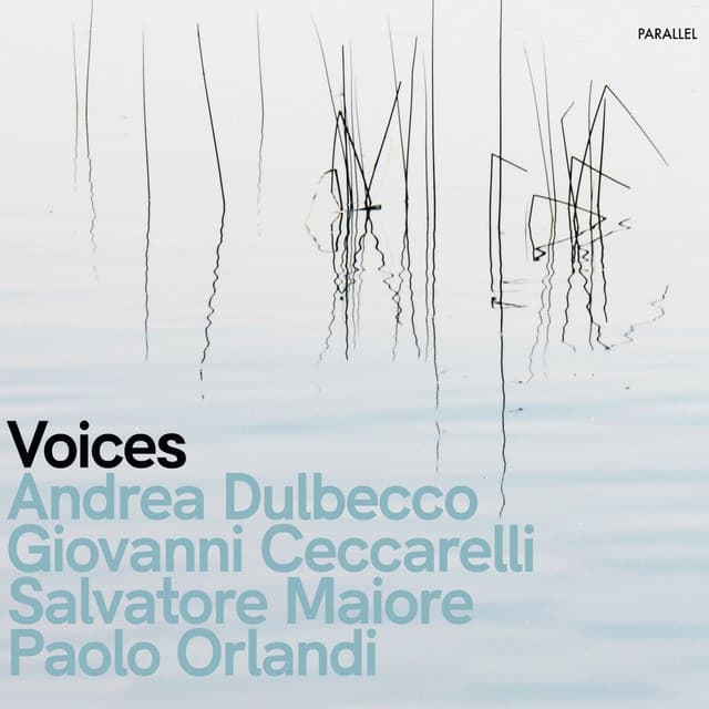 Voices - Giovanni Ceccarelli