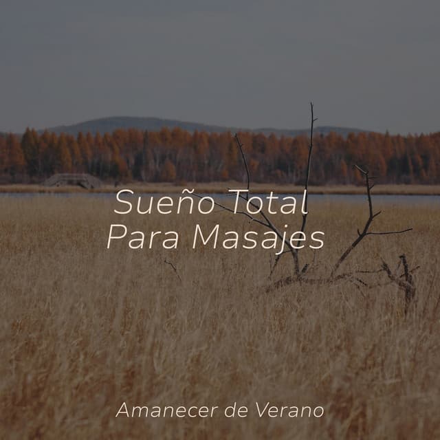 Sueño Total Para Masajes - Meditation