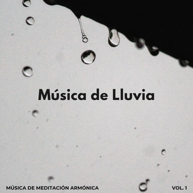 Música De Lluvia: Música De Meditación Armónica Vol. 1 - Meditación de lluvia