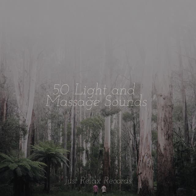 50 Light and Massage Sounds - Mantra para Dormir