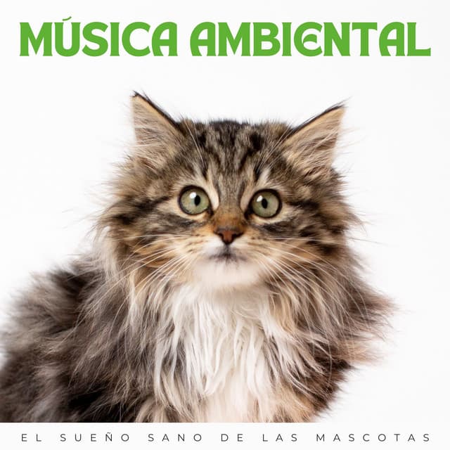Música Ambiental: El Sueño Sano De Las Mascotas - Reiki para animales