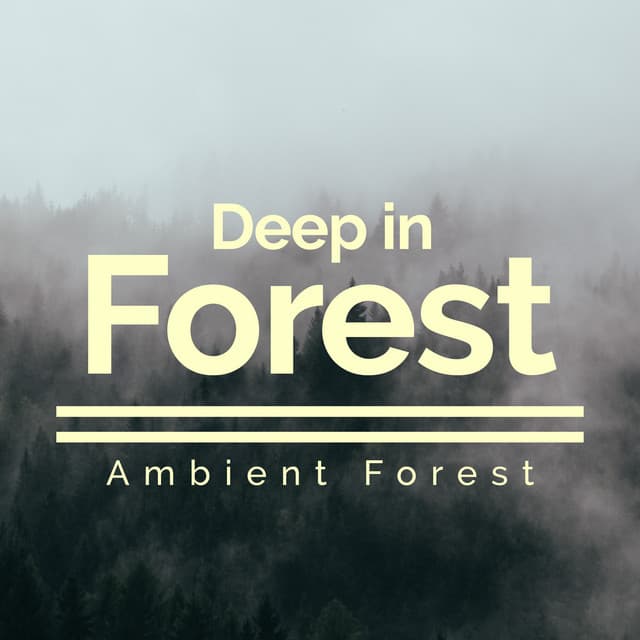 Deep in Forest - Ambient Forest