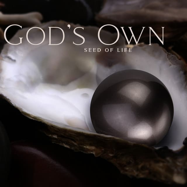 God’s Own: Seed of Life, Pineal Gland Activation - Chriss Aum