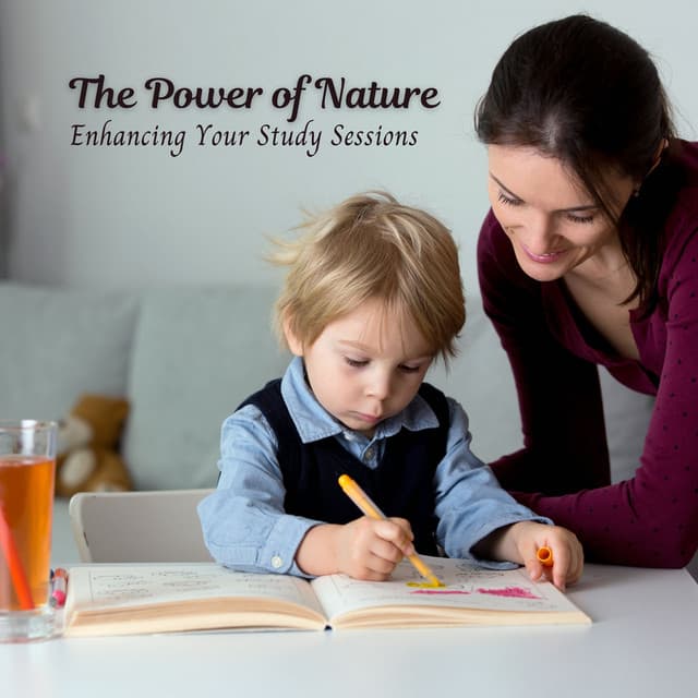 The Power of Nature: Enhancing Your Study Sessions - Beautiful Nature Sounds