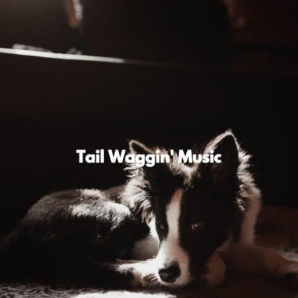 Tail Waggin' Music - Quiet Music for Sleeping