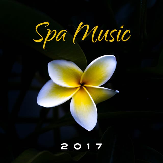 Relaxation and Dreams