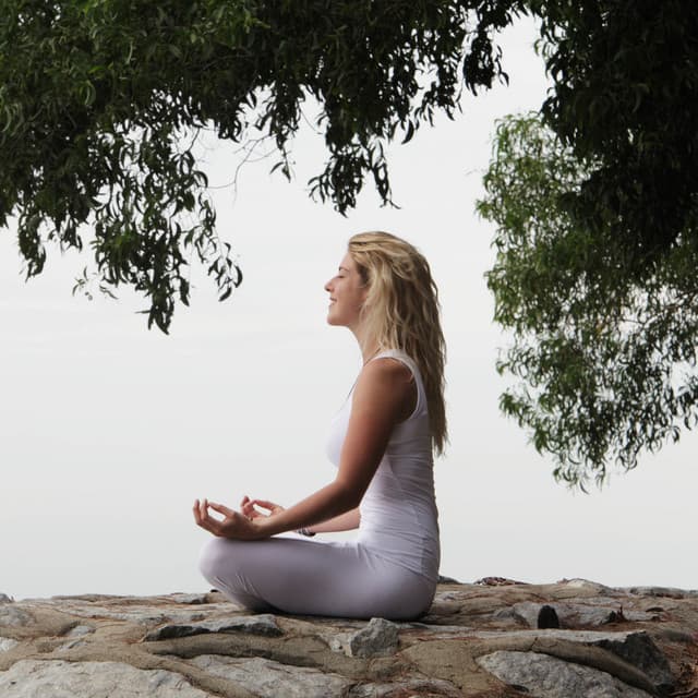 Contemplative Piano Drizzle: Rain's Silent Meditation - Piano Project