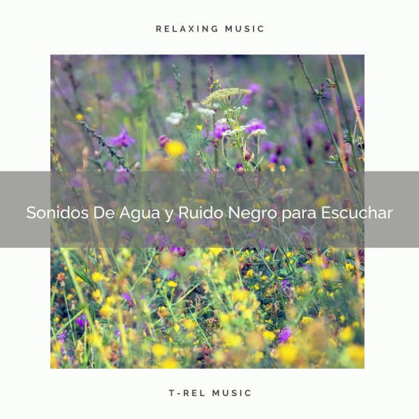 Sonidos De Agua y Ruido Negro para Escuchar - Ruido Blanco
