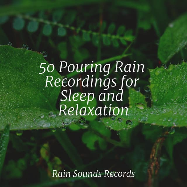 50 Pouring Rain Recordings for Sleep and Relaxation - Zen Music Garden