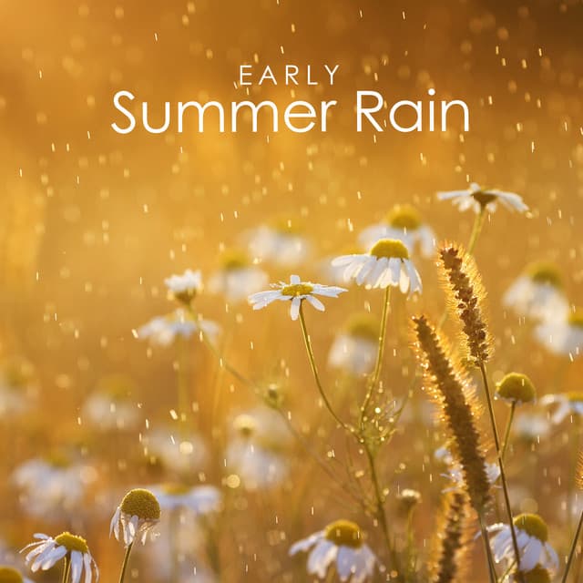 Early Summer Rain: Take a Mindful Moment with Nature and Connect with Your Senses - Awesome Nature Sounds Ensemble