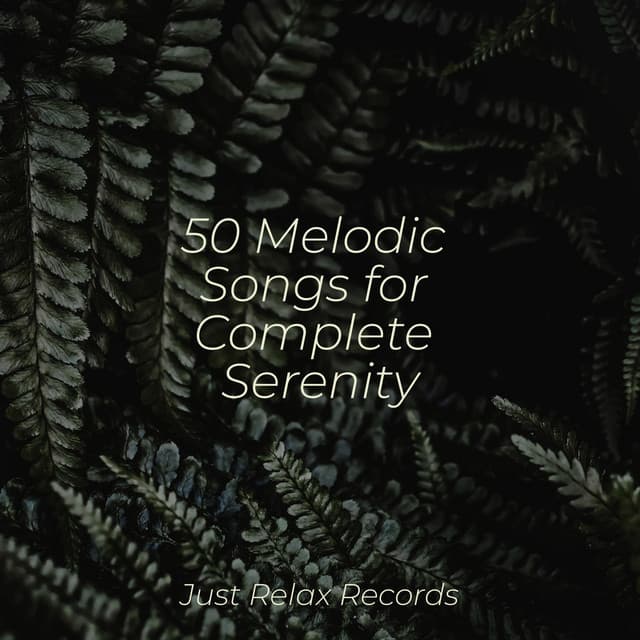 50 Melodic Songs for Complete Serenity - Exam Study Classical Music