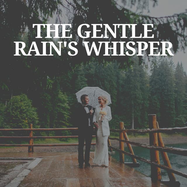 The Gentle Rain's Whisper - Rain for Deep Sleep