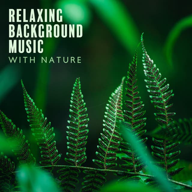 Relaxing Background Music with Nature Oasis: Breathing Exercises for Anxiety - Zen Natural Sounds