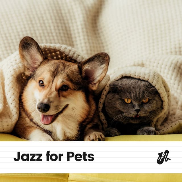 Jazz for Pets - Jazz Music Therapy for Cats