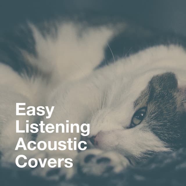 Easy Listening Acoustic Covers - It's A Cover Up