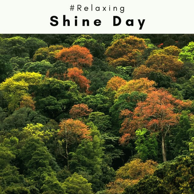 3 2 1 Shine Day - #Relaxing