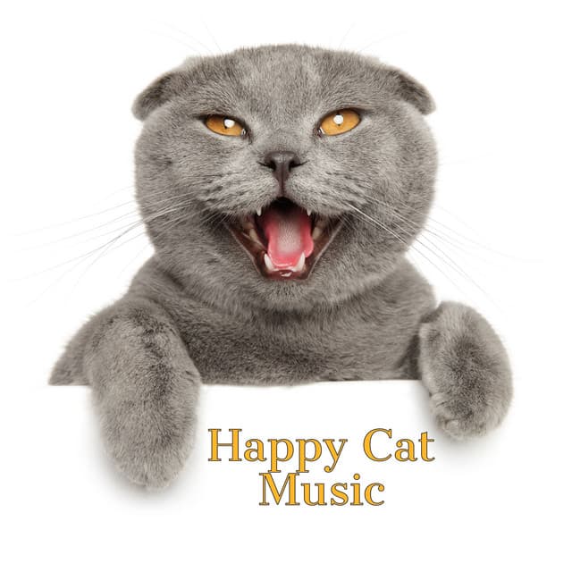 Cats Jazz | Happy Cat Music - Jazz Music for Cats