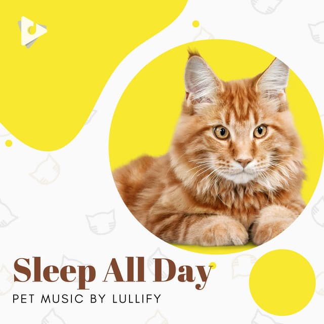 Sleep All Day - Pet Music by Lullify