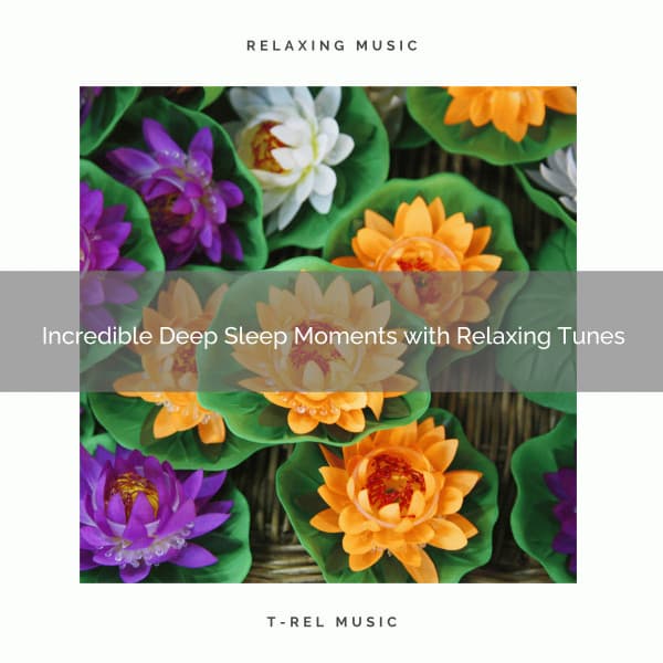 2020 Best: Incredible Deep Sleep Moments with Relaxing Tunes - Serenity Music Academy