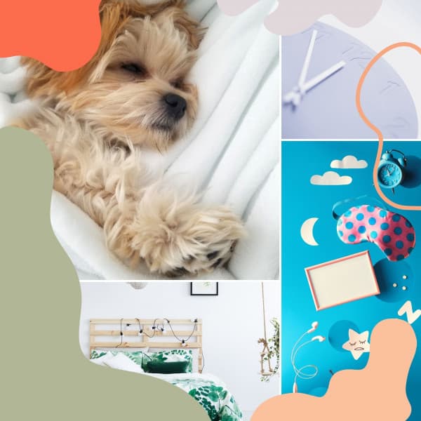 Amazing Background Music for ASMR Sleep - Afternoon Recharge