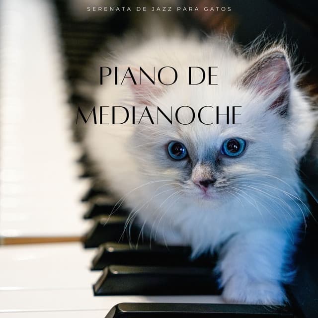 Piano De Medianoche: Serenata De Jazz Para Gatos - Los jugadores del salón del piano