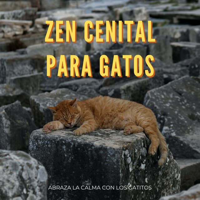 Zen Cenital Para Gatos: Abraza La Calma Con Los Gatitos - Pronóstico bochornoso