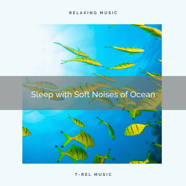 Sleep with Soft Noises of Ocean - Winds and Oceans