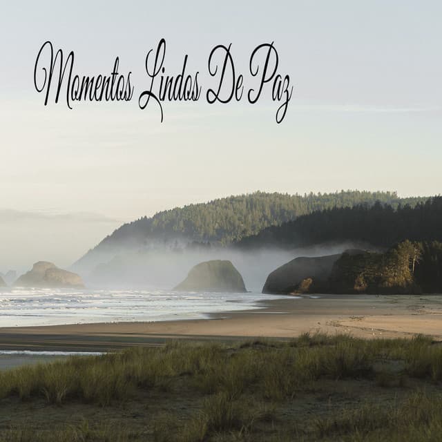 Momentos Lindos De Paz - Música Relajante