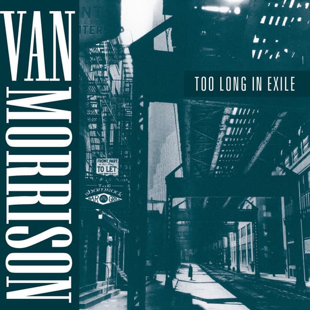 Too Long in Exile - Van Morrison