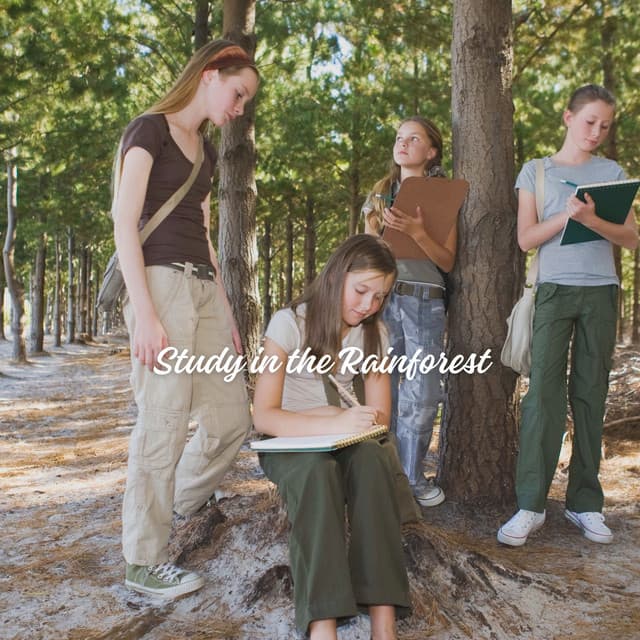 Study in the Rainforest - Rain Palace