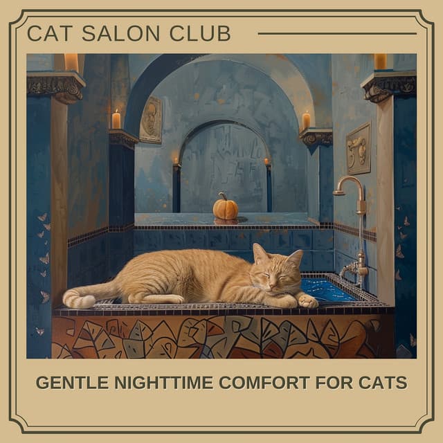 Gentle Nighttime Comfort for Cats - Cat Salon Club