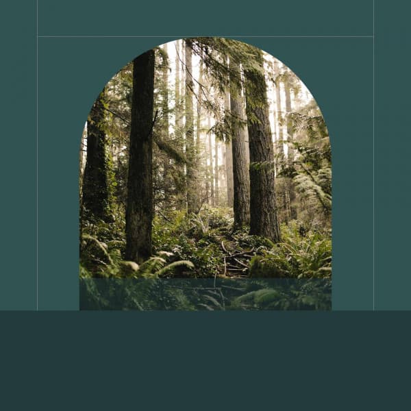 Background Music - Coffee Time - Música Alegre para Cafe