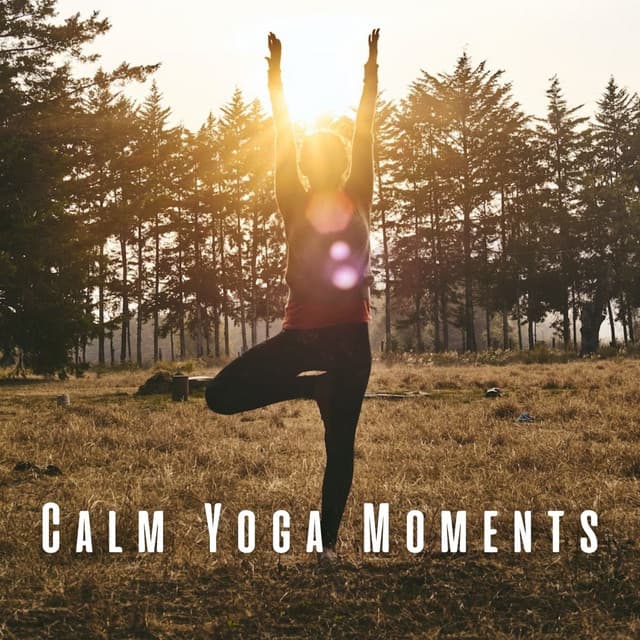 Calm Yoga Moments: Lofi Ambience for Mindful Asanas - Beats De Rap