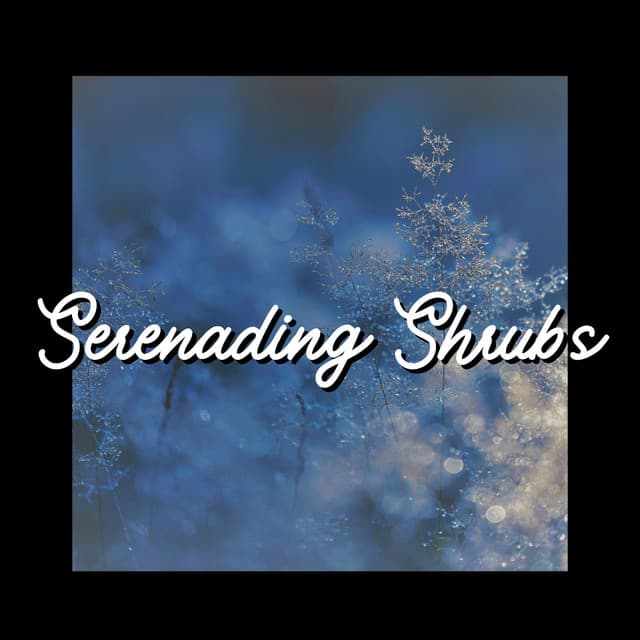 Serenading Shrubs - Sounds Of The Earth