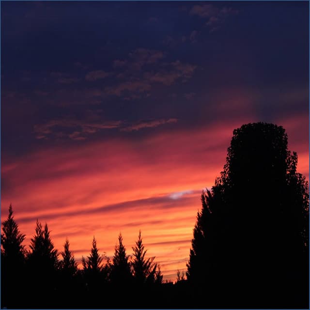 Wind Chimes - Relaxation - Ambient